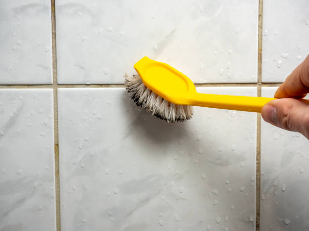 Best Mold Cleaning Services  in Torrance, CA