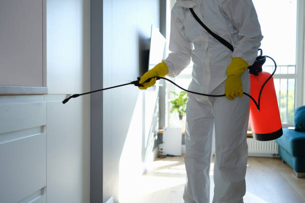Best Emergency Mold Removal  in Torrance, CA